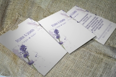 lavanda-3_web