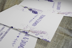 lavanda-4_web