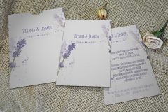 lavanda-_1_web